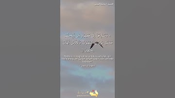 الشيخ #وديع_#اليمني #تلاوة #خاشعة