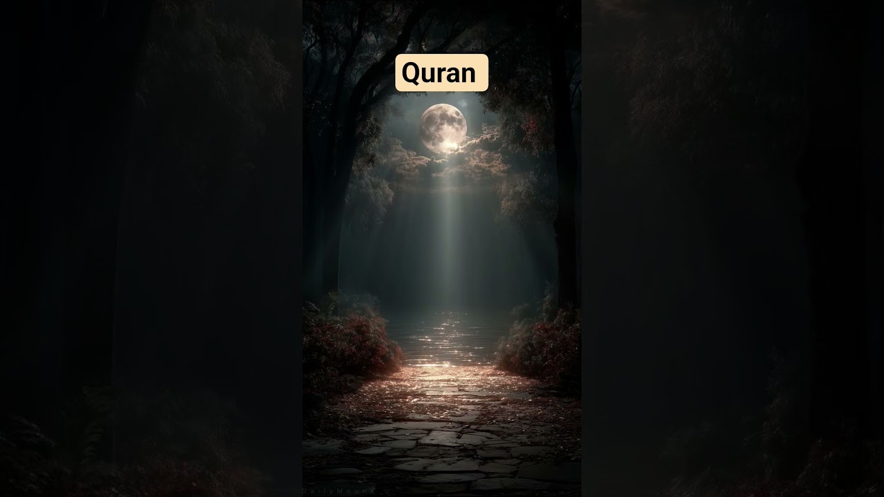 Quran tarjuma 