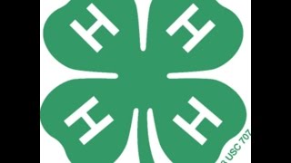 Hendricks County's 4-H Program