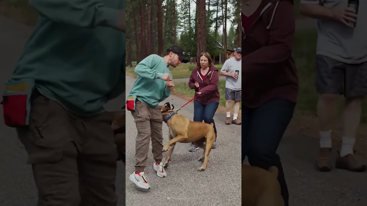 Este perro no mata mordiendo, mata ¡ahogando! 
