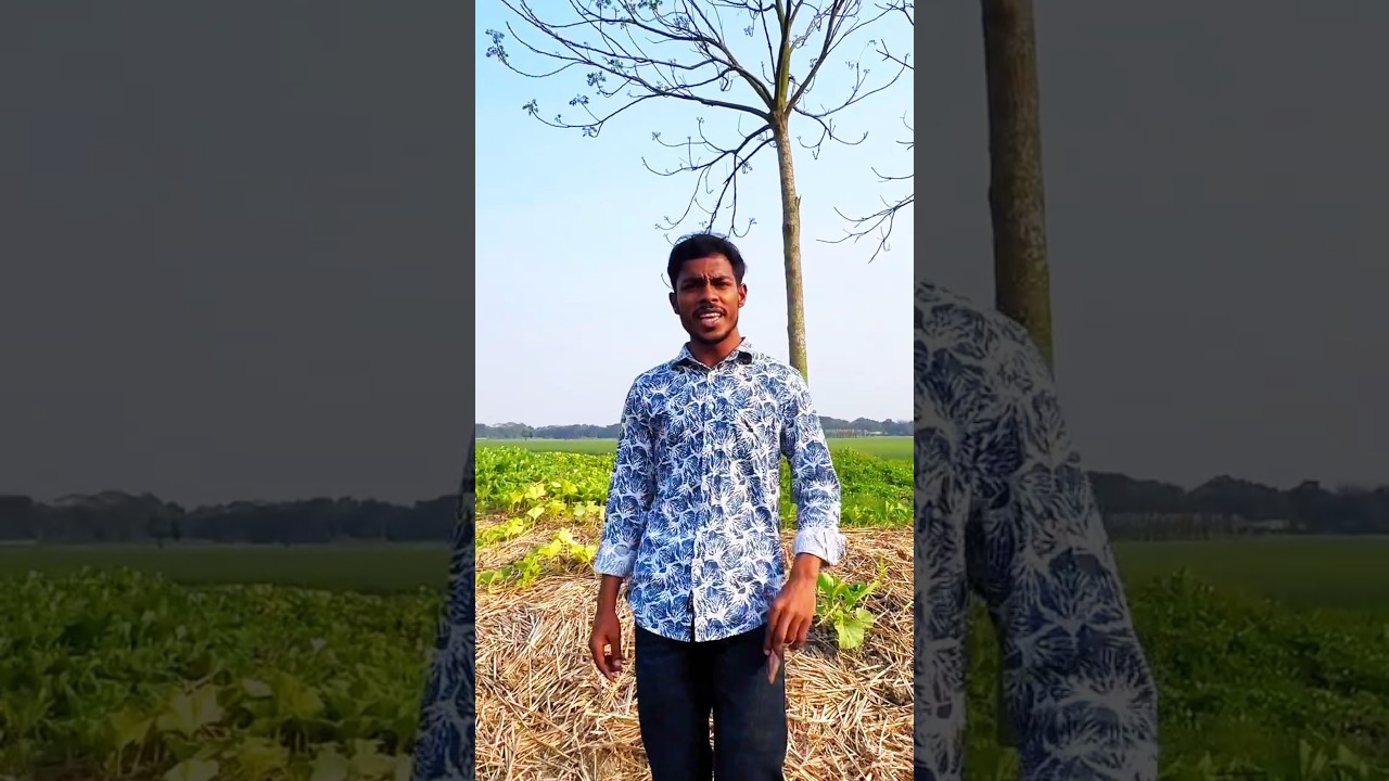 বাংলা ভিডিও সাবস্ক্রাইব করো #sajaungalutkarbhiterebadankida #funny #comedy