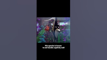 Did you notice this in FINDING NEMO #shorts
