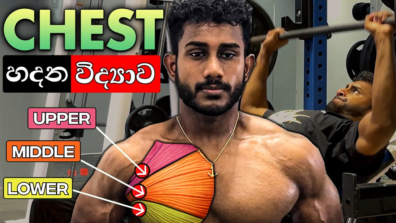සුපිරිට Chest හදන Exercises මෙන්න! | Chest Muscle Science In Sinhala