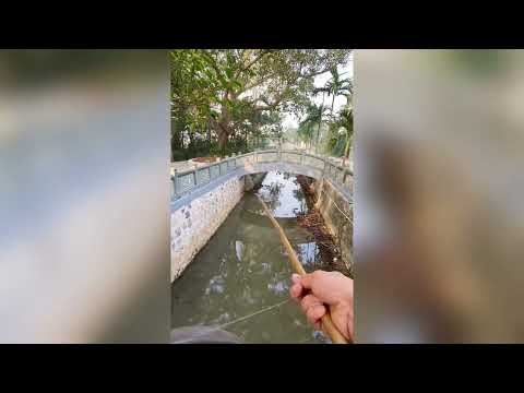 Ký sự cần thủ T45