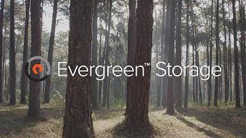 Evergreen Storage: Free Every Three