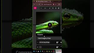 🖼️ Shrink Images Without Ruining Quality 🤯 #websitetips #squoosh #imagetools #thumbnailtips 🖼️ Shrink Images Without Ruining Quality 🤯 #websitetips #squoosh #imagetools #thumbnailtips