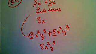 Polynomials (Adding and Subtracting): Part 1