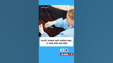 Phát triển huyết thanh chống nọc của 17 loài rắn cực độc