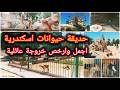 حديقة حيوانات الاسكندرية خروجة ب ٥ جنيه افضل اماكن الخروج فى اسكندرية حديقة حيوانات اسكندرية حديقة حيوانات الاسكندرية خروجة ب ٥ جنيه افضل اماكن الخروج فى اسكندرية حديقة حيوانات اسكندرية