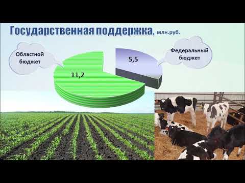 Отчет главы местного самоуправления Первомайска Е.А. Лебедновой