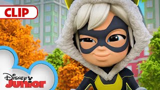 Black Cat Steals Stuffed Animals! | Marvel's Spidey and his Amazing Friends | @disneyjunior