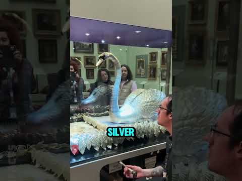 The 250-Year-Old Robot Swan That Still Moves Perfectly