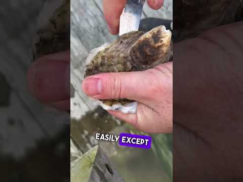 Video: Maine are stridii?