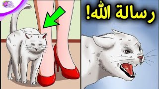 إذا تمسحت بك قطة فهذا يعنى 3 رسائل من الله لك !