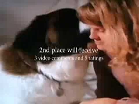 CLOSED - Reel Dogs Contest - CLOSED