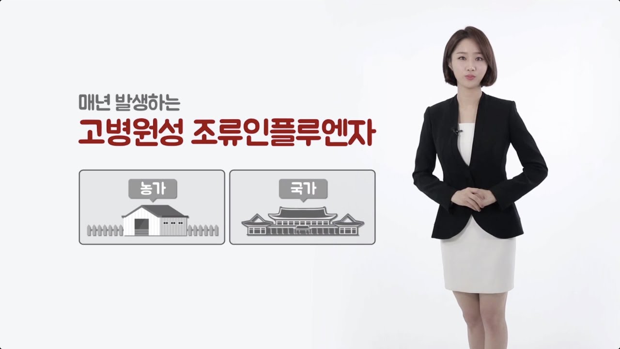 고병원성 조류인플루엔자(AI), 바로 알고 예방합시다!