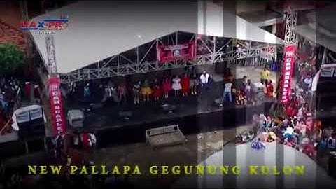 Pallapa Brodin Tabir Kepalsuan