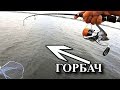 Окуни горбачи клюют отдай спиннинг! Жор ОКУНЯ! Летом!!)) Рыбалка моща!