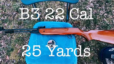 B3 (.22 Cal) 25 Yards with Norma Golden Trophy Pel...