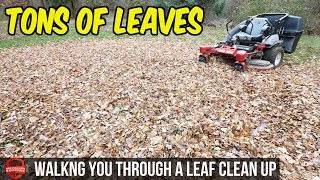 How To Do A Fall Leaf Clean Up  $145 In 1.5 Hours, Bagging Leaves | Simple Basic Clean Up