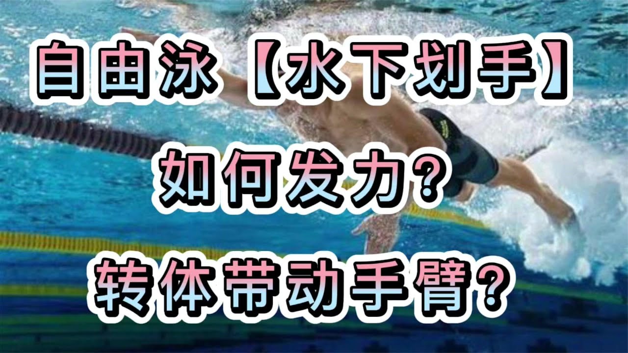 自由泳的初學發力如何協調手臂動作帶動轉體？