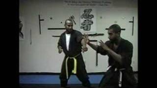 Ninjutsu For the Novice