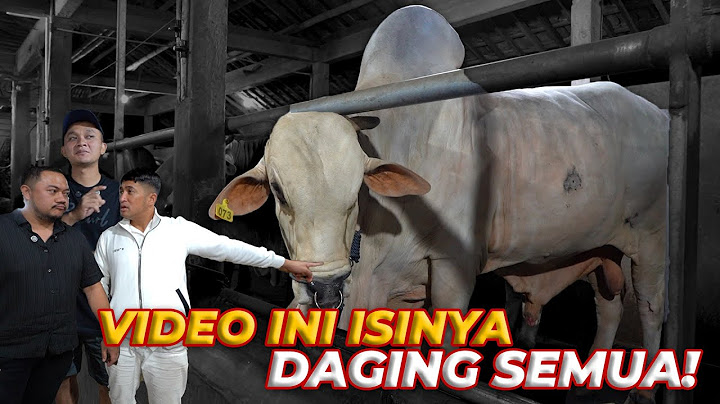 Rahasia PETERNAK SAPI Profesional yang Wajib Kamu Ketahui Sekarang!