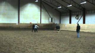 20101227 Tömkörningskurs