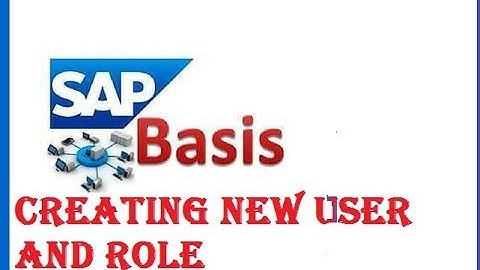 SAP BASIS Creating New User and Assigning New Role
