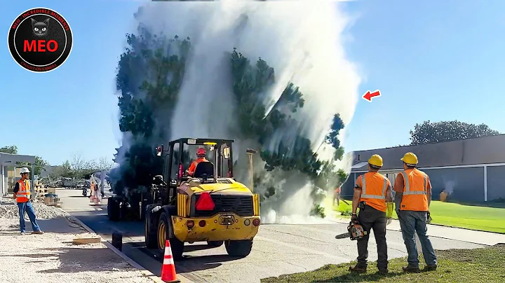 Incredible Moments Caught on Camera You Must See To Believe! | 2025 New Update