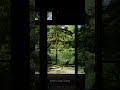 静けさを聴く10秒