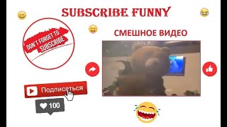 25 минут смеха 🤣 #1