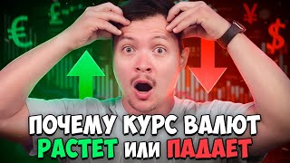 Почему растет и падает курс валют? Простым языком