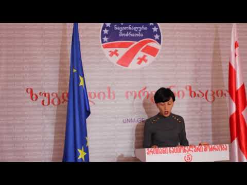 ანა წითლიძემ ბრიფინგი გამართა