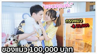 My Dog Gets Jealous of the New Kitten | Buying Cat Products For 100,000 Baht!! 🐱💶