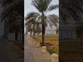Shuhada Park Granada حديقة الشهداء غرناطة 