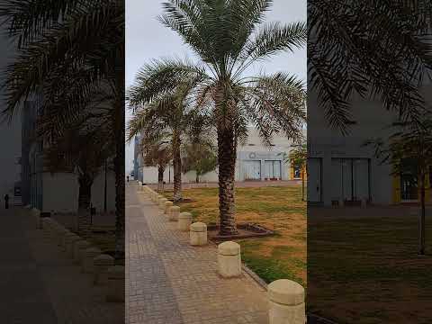 Shuhada Park Granada حديقة الشهداء غرناطة 