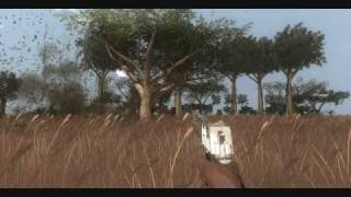 TehLux - FarCry2 Editor Wild Tree Explosion
