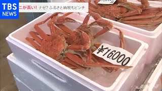 “冬の味覚”カニが高い！鮮魚店も「こんなの初めて」昨年比で２０００～３０００円値上げ