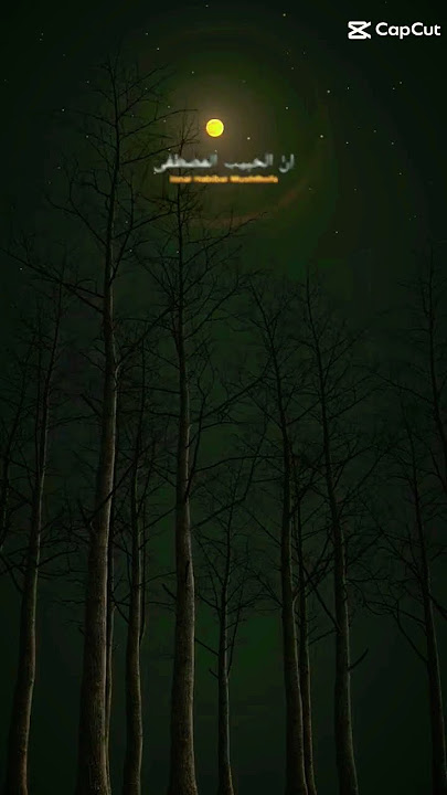 story sholawat #reels #story #shorts #fyp #islam #sholawat #doa #reel #lombok #tiktok #muslim