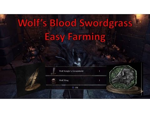 Video: Ce face iarba-sabie cu sânge de lup?