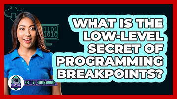 What Is The Low-level Secret Of Programming Breakpoints? - Next LVL Programming