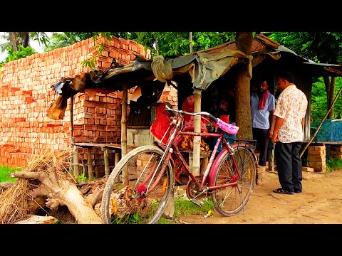 I Enjoyed The Tea In A Silent Green Field In A Village | Bangladeshi Street Food