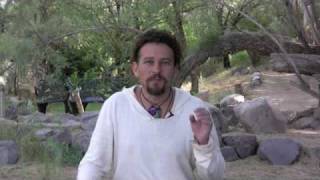 David Wolfe Longevity Now