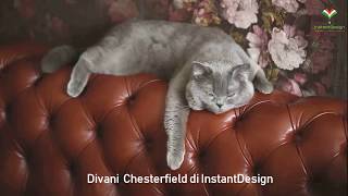 Chesterfield