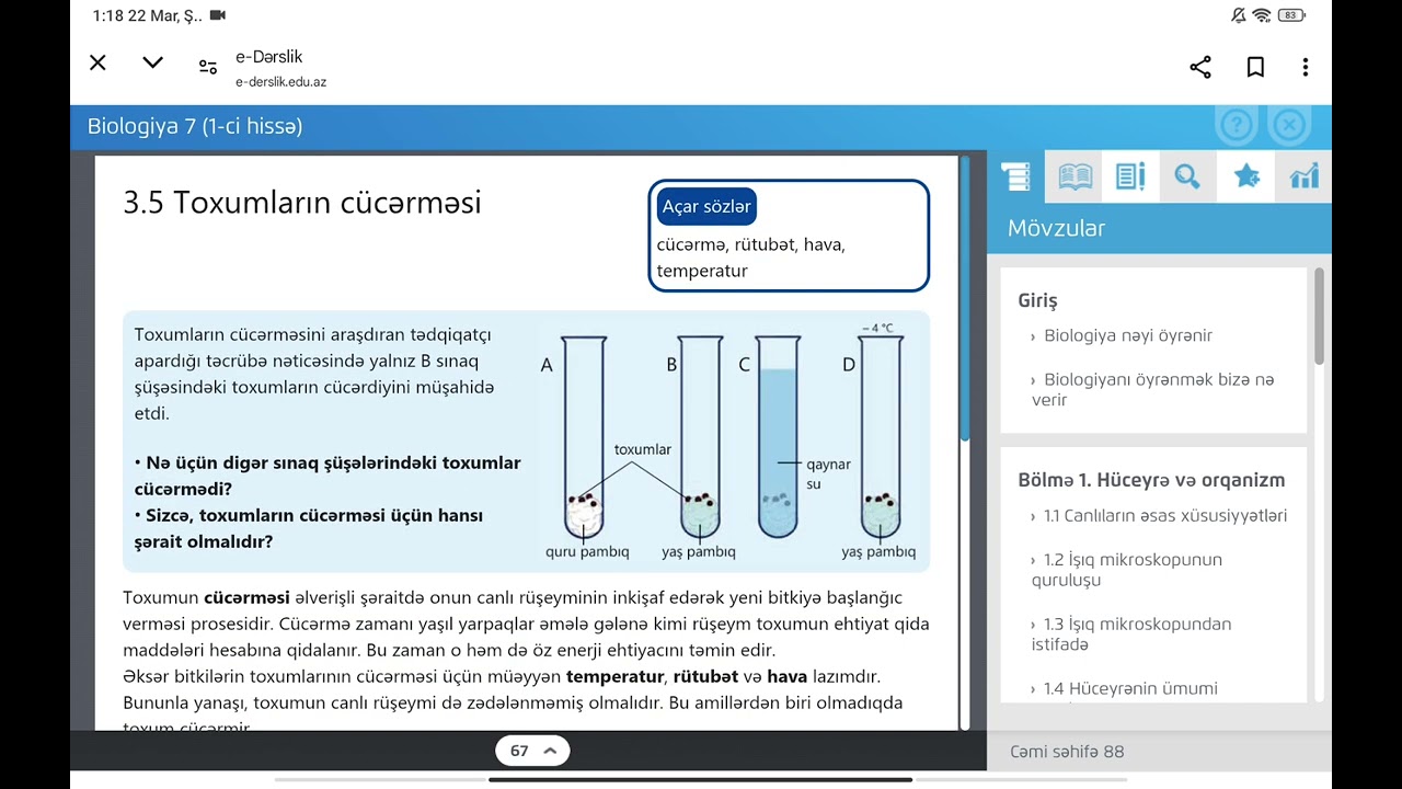 7-ci sinif biologiya.Toxumun quruluşu.Toxumların cücərməsi.Meyvə.Meyvə və toxumların yayılması.🫛🫘