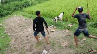 Download lagu Berburu garangan rase Berburu garangan rase