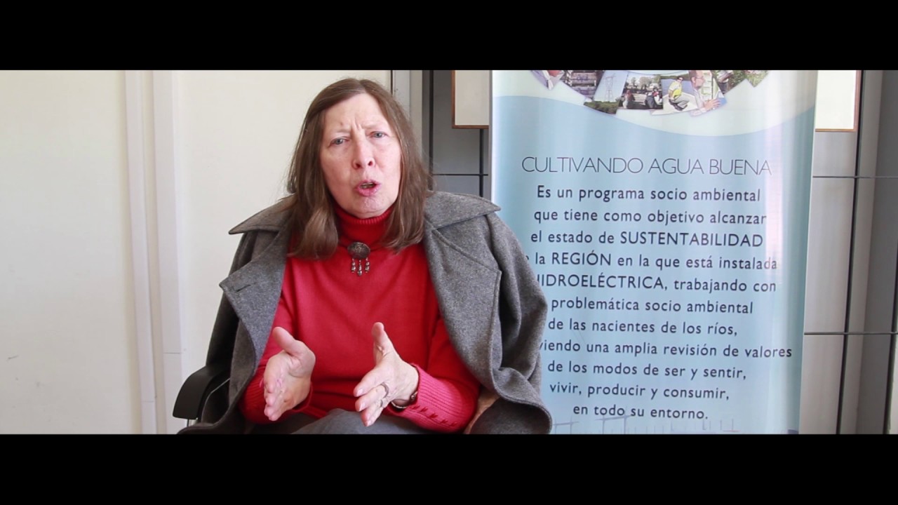 Claudia Natenzon  - Teoría Social del Riesgo - Salto Grande