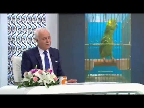 Ezan ve Fatiha okuyan papağan! Nihat Hatipoğlu