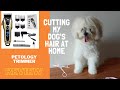 PETOLOGY Pet Trimmer Review | Cutting my Dog's hair at Home | Maltese Full Groom